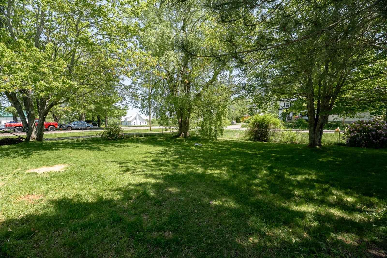 Leafy lawn framed by mature trees with road frontage