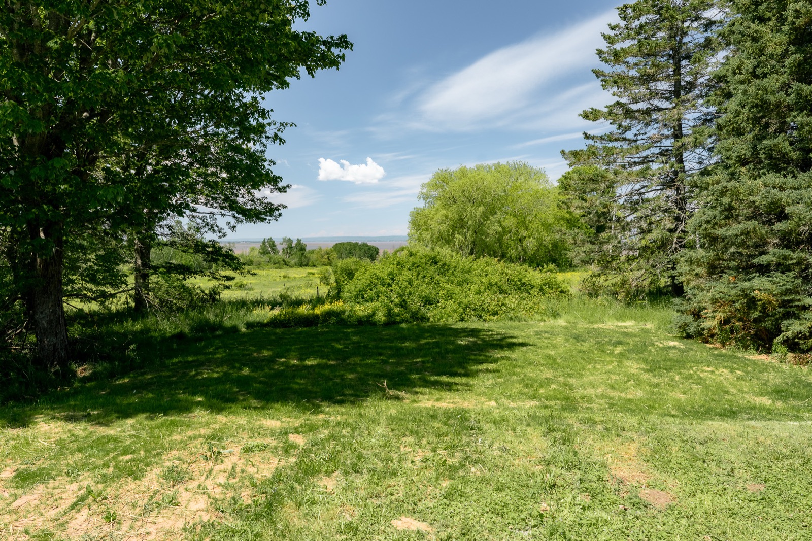 Open backyard looking toward the Minas Basin