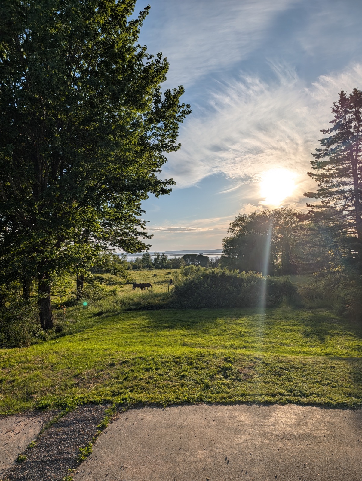 Golden hour over the field with a horse and the basin beyond