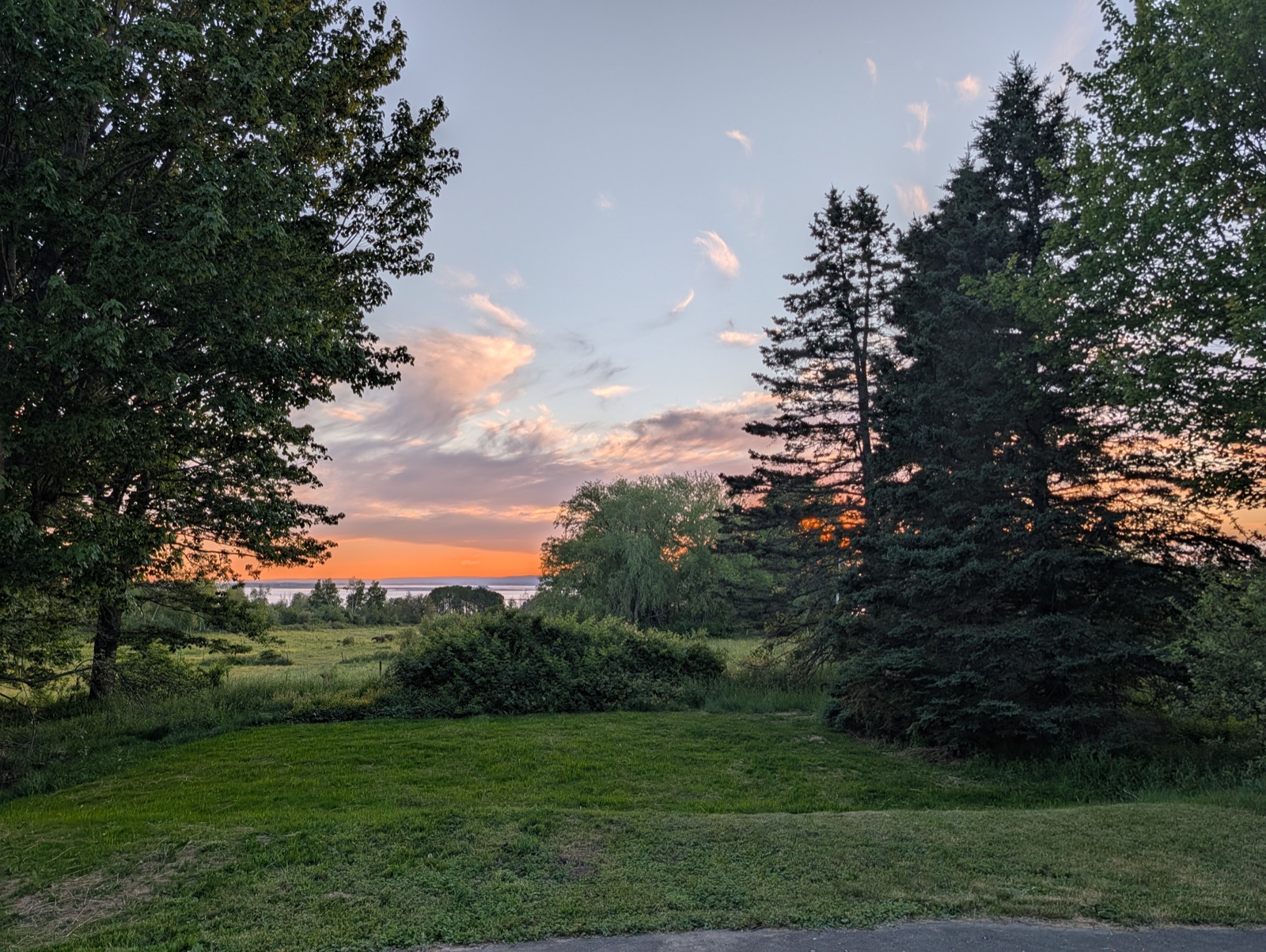 Orange horizon over the water framed by tall trees
